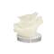 6" White Polystone Small Textured Coral Sculpture with Clear Acrylic Base